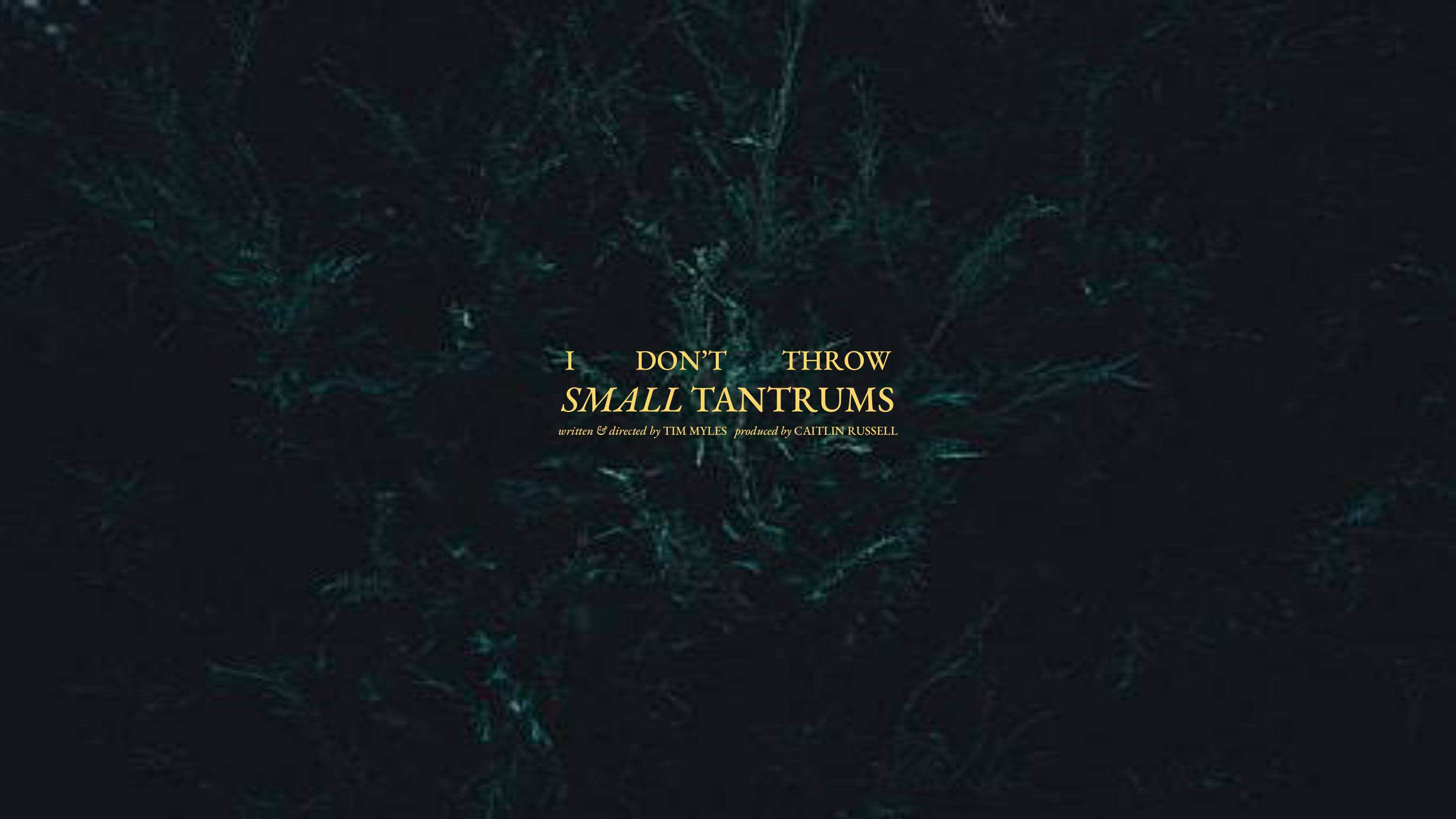 I Don't Throw Small Tantrums
